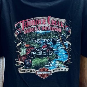 Thunder Creek Chattanooga TN. “If you want to blend in, take the bus” Harley XL